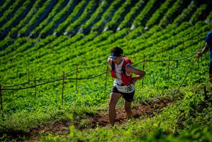 BIB: 
                            <button type="button" onclick="openModal(19161054)" class="btn btn-primary btn-sm float-right btn-popup" data-toggle="modal" data-target=".modal-high-quality">
                        <i class="fas fa-shopping-cart"></i> Add to Cart
                    </button>
                                            <button type="button" onclick="isThisMe(19161054, true)" class="btn btn-success btn-sm float-right btn-popup btn-isme hidden" data-toggle="tooltip" data-placement="bottom" title="นี่คือรูปของคุณใช่ไหม คลิกที่นี่เพื่อเอาเข้าอัลบั้ม">
                        <i class="fas fa-plus"></i> Add to album
                    </button>
                    <button type="button" onclick="isThisMe(19161054, false)" class="btn btn-warning btn-sm float-right btn-popup btn-isnotme hidden">
                        <i class="fas fa-ban"></i> Remove from album
                    </button>